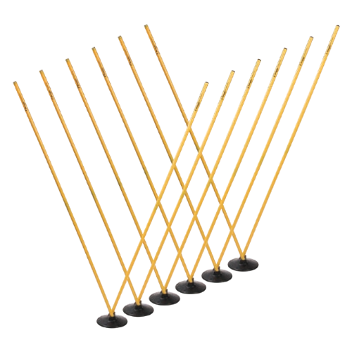 Pro Agility Pole Set