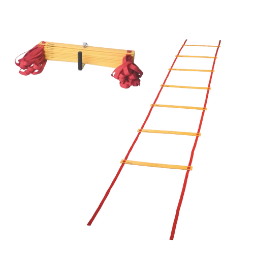 Economy Agility Ladder