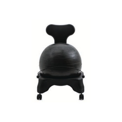 Fitpro Ball Chair