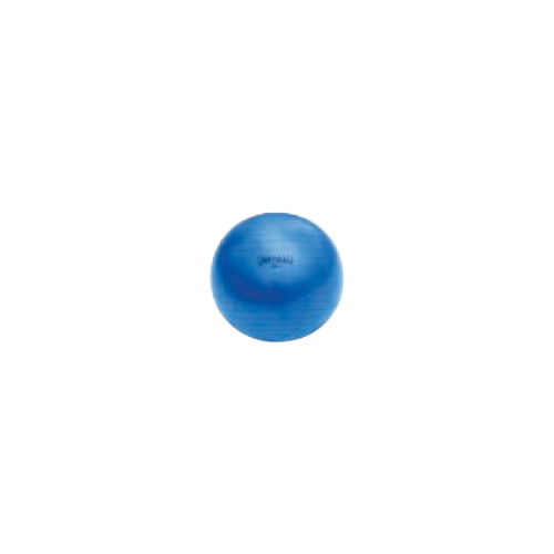 42 cm Fitpro BRT Training & Exercise Ball