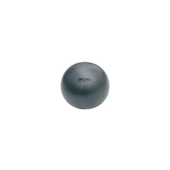 53 cm Fitpro BRT Training & Exercise Ball