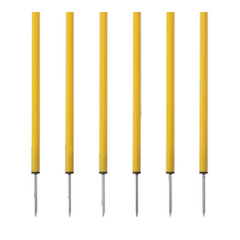 Coaching Sticks Set of 6 Yellow