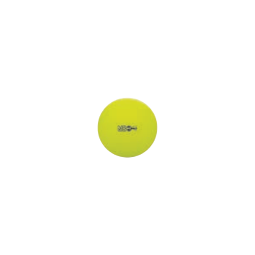 42 cm Fitpro Training & Exercise Ball Neon Yellow