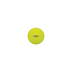 42 cm Fitpro Training & Exercise Ball Neon Yellow