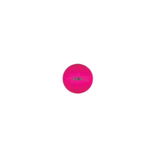 65 cm Fitpro Training & Exercise Ball Neon Pink