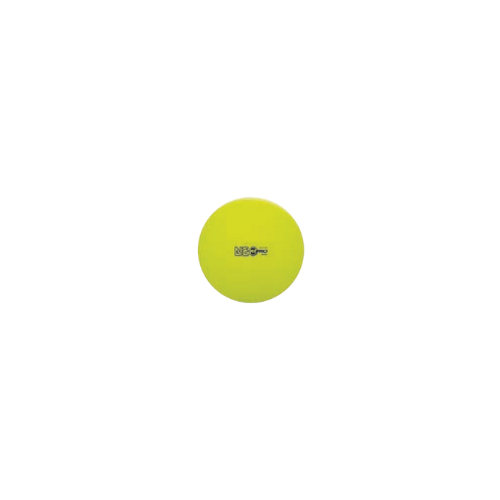 65 cm Fitpro Training & Exercise Ball Neon Yellow