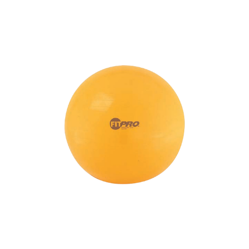 75 cm Fitpro Training & Exercise Ball