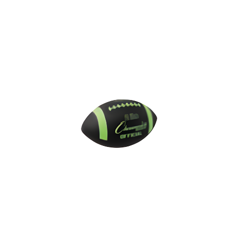 2 LB Official Size Weighted Football Trainer