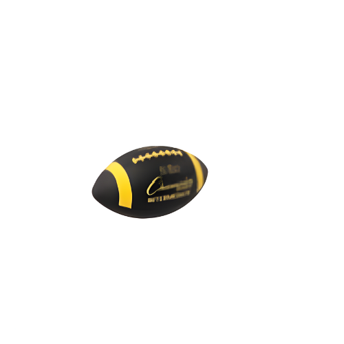 2 LB Intermediate Size Weighted Football Trainer