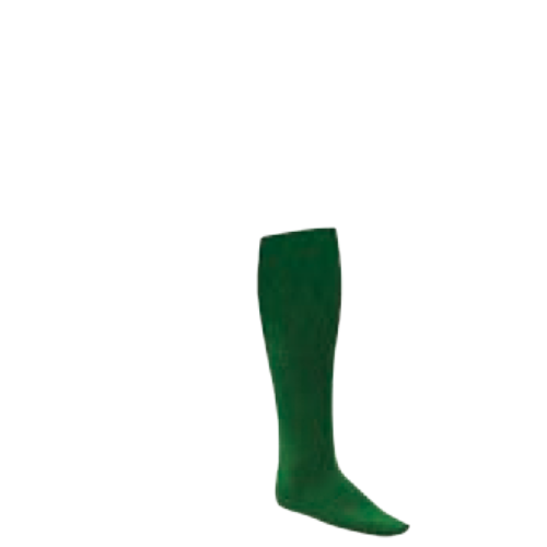 Rhino® All-Sport Sock Large Kelly Green